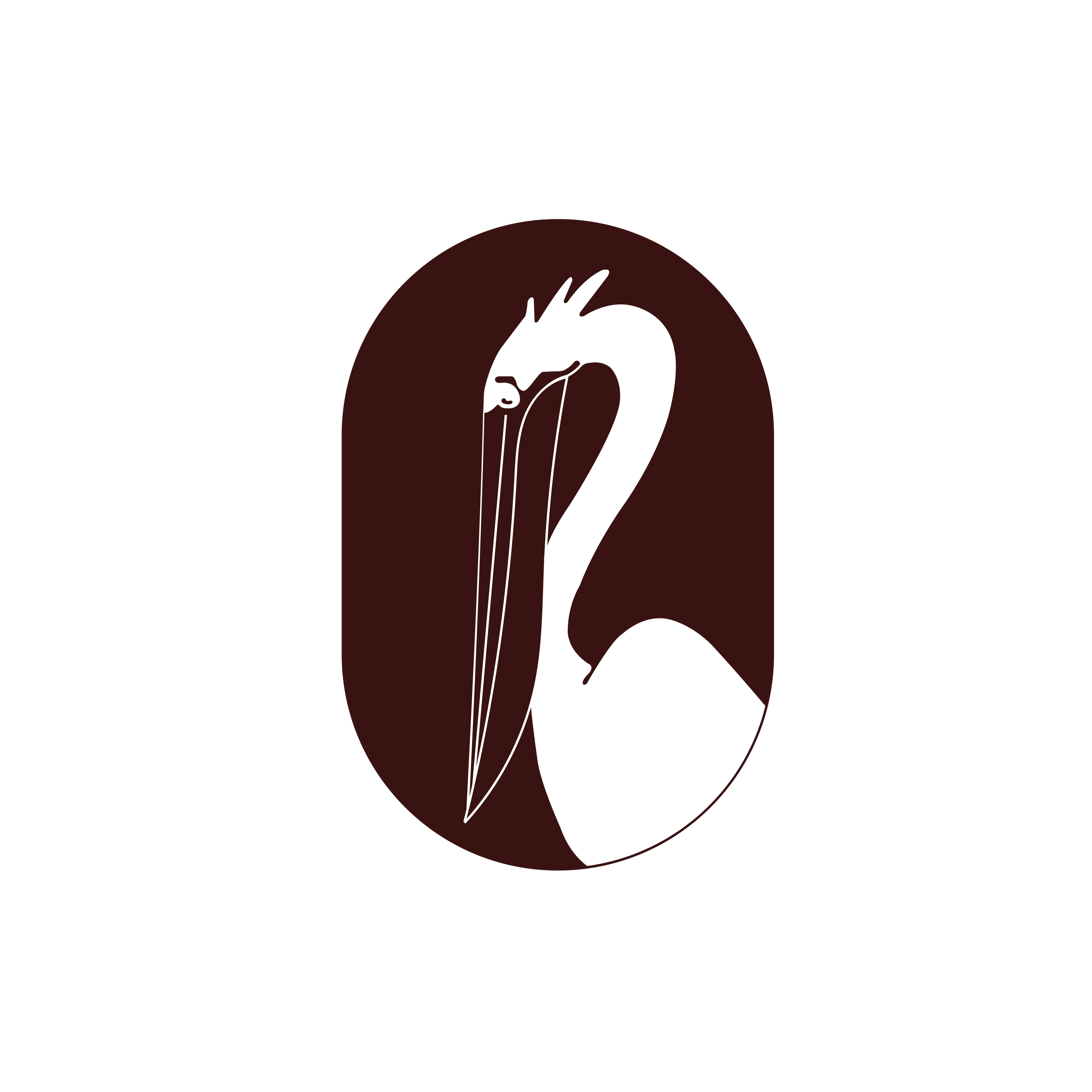 Pelican Prints